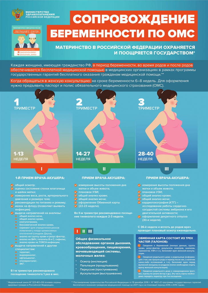 INFOGRAFIKA_2017_soprovozhdenie-beremennosti.jpg